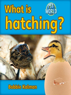 cover image of What is hatching?